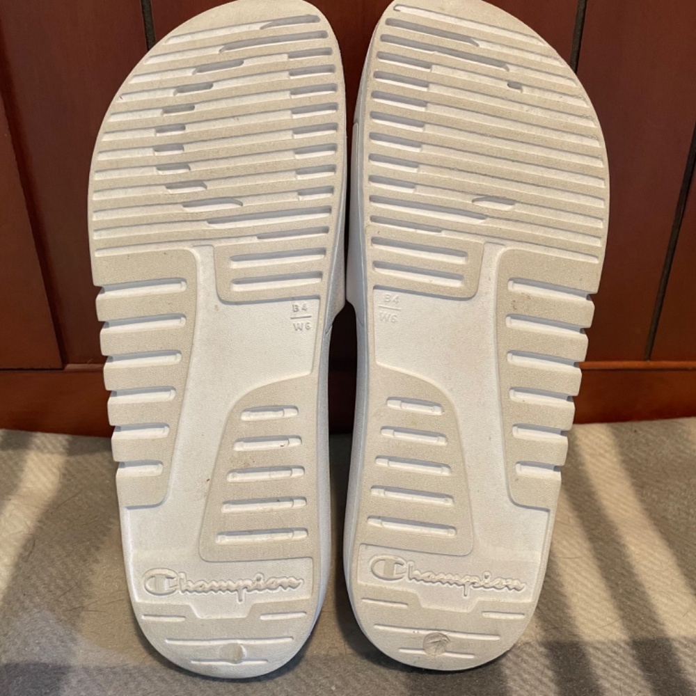 Champion slides - Picture 4 of 6
